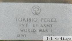 Toribio Perez