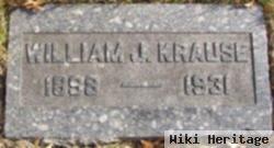 William J Krause