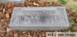 Walter H Schlesinger