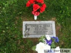 Gayle Ann Heile