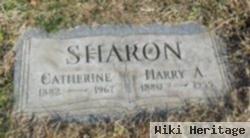 Harry A. Sharon