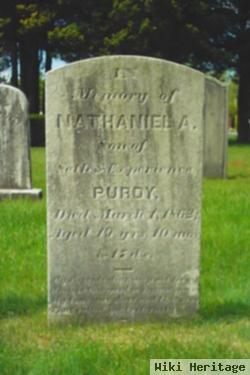 Nathaniel A Purdy