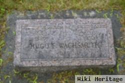 Hugo E Wachsmuth