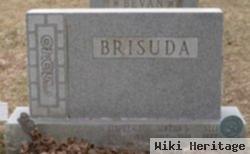 Stephen J Brisuda