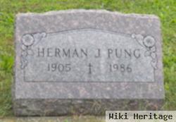 Herman J Pung