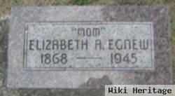 Elizabeth A Egnew