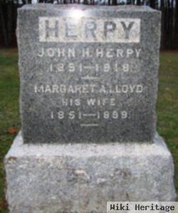 John Henry Herpy