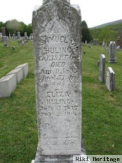 Eliza S. Long Huling