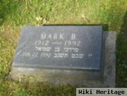 Mark B Merin