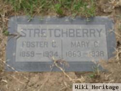 Foster Colon Stretchberry