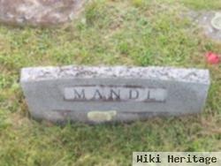 Frank Mandl