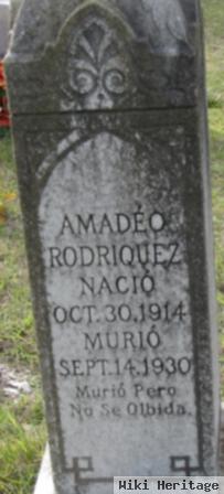 Amadeo Rodriquez