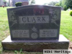 Walter Pleasant Clark