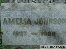 Amelia Johnson