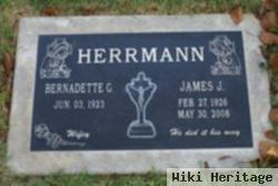 James J Herrmann