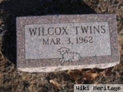 Twins Wilcox