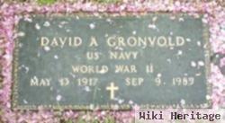 David A. Gronvold