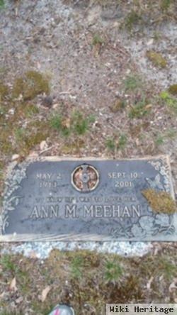 Ann M Meehan