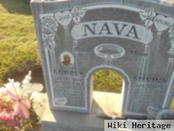 Andres A. Nava