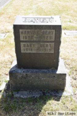 Harvey Bert Bayer