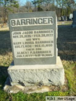 Mary Louisa Barrier Barringer