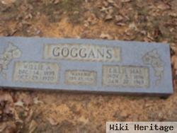 Willie Alvis Goggans