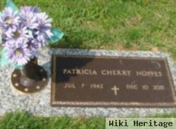 Patricia Ann Cherry Hoppes