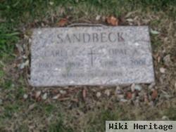 Carl J. Sandbeck