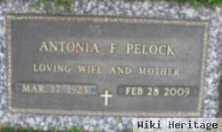 Antonia F Pelock