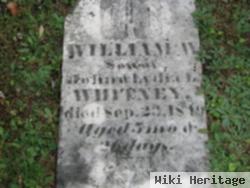 William W Whitney