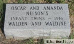 Walden Nelson