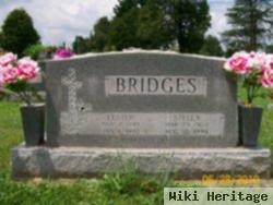 Stella M Taylor Bridges