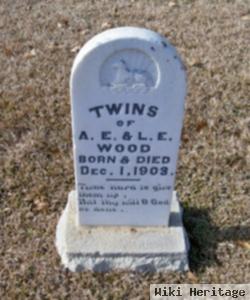 Infant Twins Wood