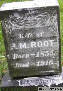 Mary Root