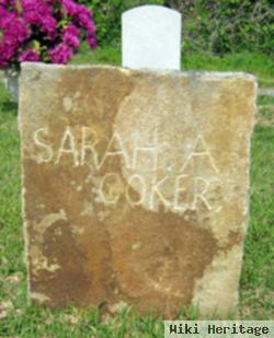 Sarah Ann Brashier Coker