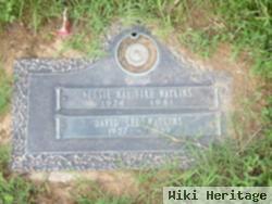 Nettie Mae Fike Watkins