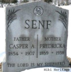 Fredricka Senf