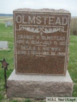 Delila L. Ensign Olmstead