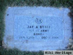 Jay A Bybee