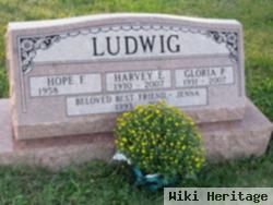 Harvey E Ludwig