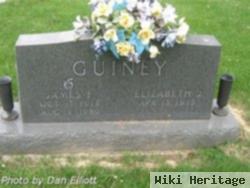 Elizabeth J Guiney