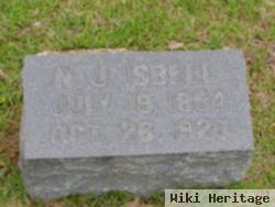 Newton J Isbell