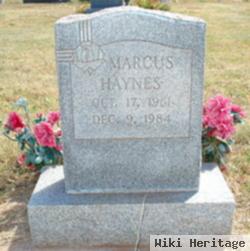 Marcus Haynes