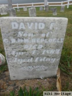 David F Replogle