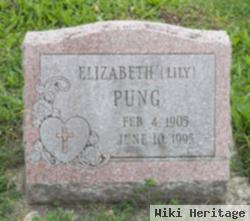 Elizabeth "lily" Spitzley Pung