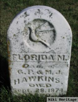 Florida Hawkins