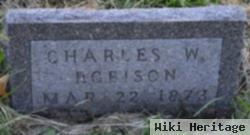 Charles W Robison