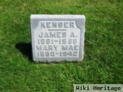 James A. Kenser