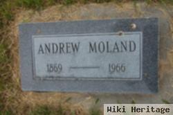 Andrew Moland