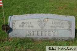 Ida Ann "annie" Lebo Steffey